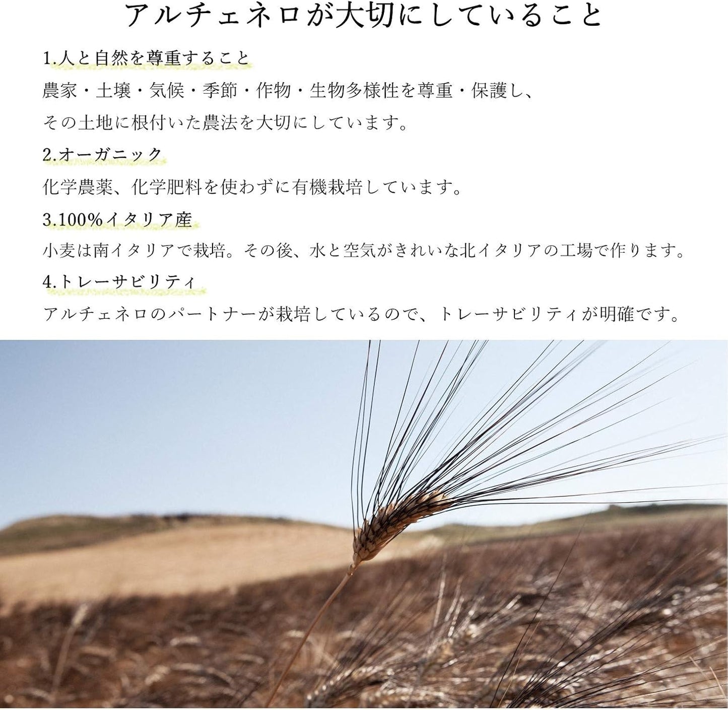 【有機パスタ】オーガニック タリアテッレ 250g