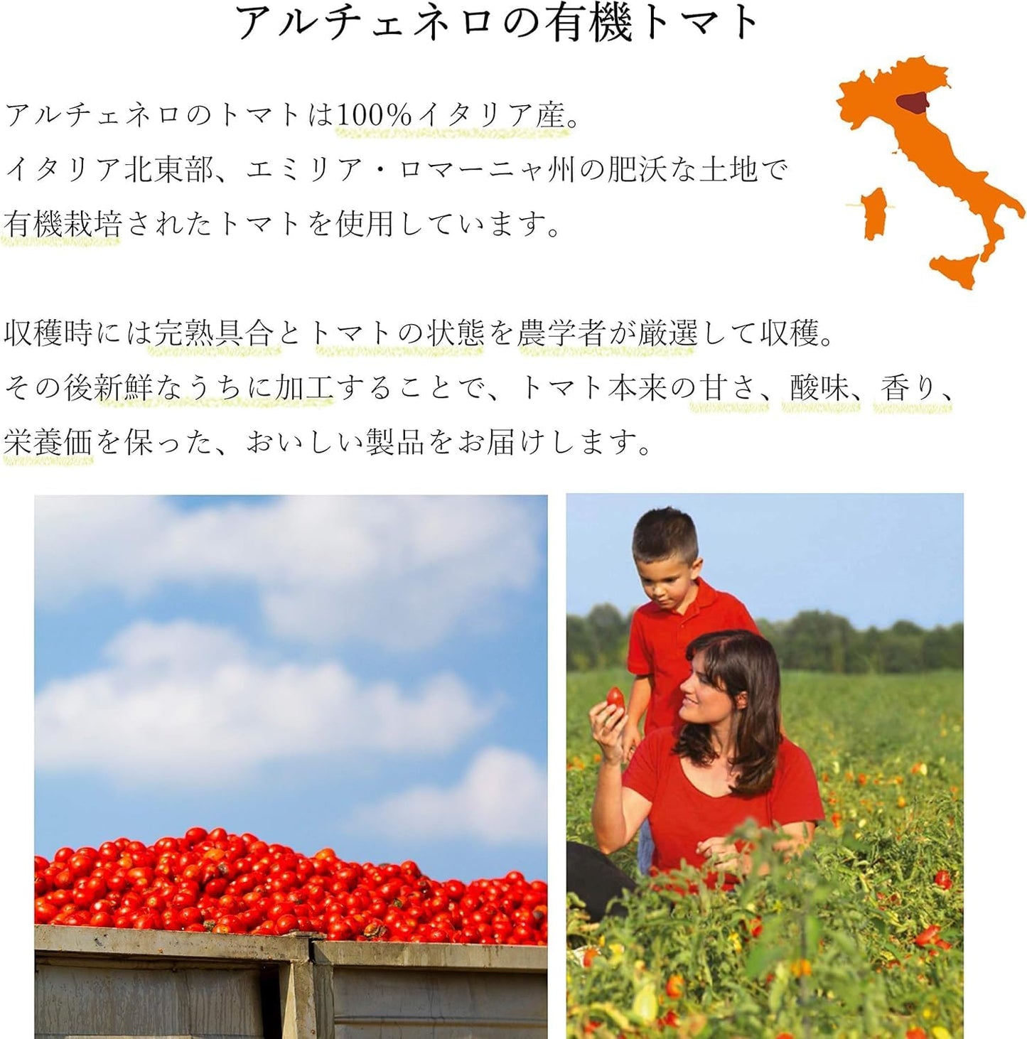 【有機】オーガニック 基本の有機パスタソース 200g